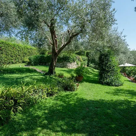 Villa Eden Dei Marmi With Private Infinity Pool