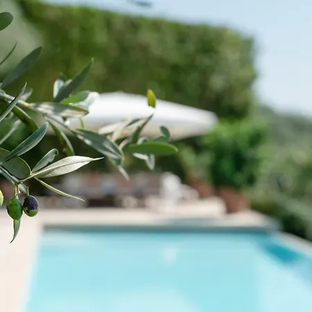 别墅 Eden Dei Marmi With Private Infinity Pool *