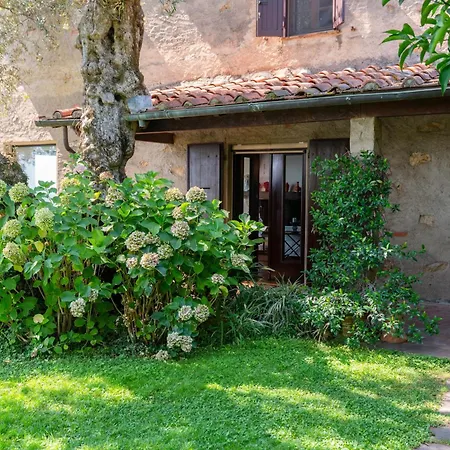 Eden Dei Marmi With Private Infinity Pool * Santa Lucia (Lucca)